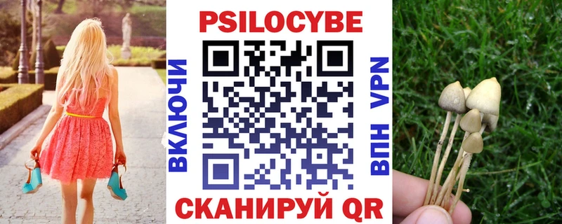 Псилоцибиновые грибы GOLDEN TEACHER  kraken рабочий сайт  Бирюч  купить наркоту 