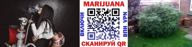 blacksprut зеркало  Бирюч  Бошки Шишки Bruce Banner 